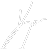 Kara Stevens Productions
