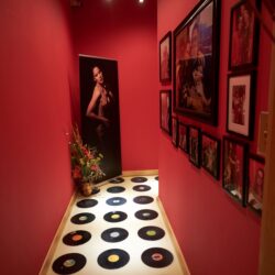 Studio 11